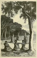 An illustration from De l'Atlantique au Niger par le Foutah-Djallon : carnet de voyage (1882)