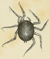 An illustration from De l'Atlantique au Niger par le Foutah-Djallon : carnet de voyage (1882)