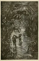 Picture 16 of 17 from De l'Atlantique au Niger par le Foutah-Djallon : carnet de voyage (1882), leaf 393