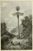 An illustration from De l'Atlantique au Niger par le Foutah-Djallon : carnet de voyage (1882)