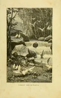 Picture 6 of 16 from De l'Atlantique au Niger par le Foutah-Djallon : carnet de voyage (1883), leaf 109