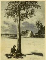 An illustration from De l'Atlantique au Niger par le Foutah-Djallon : carnet de voyage (1883)