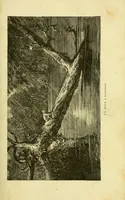 An illustration from De l'Atlantique au Niger par le Foutah-Djallon : carnet de voyage (1883)