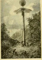 An illustration from De l'Atlantique au Niger par le Foutah-Djallon : carnet de voyage (1883)