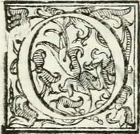 An illustration from Del campo aperto, mantenvto in Ferrara, l' anno M.DC.X. la notte di carnouale : dall'Illustriss. Signor Enzo Bentivogli, mantenitore della querela, pubblicata nella seguente disfida da un'araldo, à suon di trombe, il di 6. febraio, su'l corso, pieno di tutta la città mascherata : sontuosissima, e magnifica inuenzione (1610)