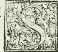An illustration from Del campo aperto, mantenvto in Ferrara, l' anno M.DC.X. la notte di carnouale : dall'Illustriss. Signor Enzo Bentivogli, mantenitore della querela, pubblicata nella seguente disfida da un'araldo, à suon di trombe, il di 6. febraio, su'l corso, pieno di tutta la città mascherata : sontuosissima, e magnifica inuenzione (1610)