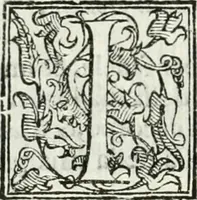 An illustration from Del campo aperto, mantenvto in Ferrara, l' anno M.DC.X. la notte di carnouale : dall'Illustriss. Signor Enzo Bentivogli, mantenitore della querela, pubblicata nella seguente disfida da un'araldo, à suon di trombe, il di 6. febraio, su'l corso, pieno di tutta la città mascherata : sontuosissima, e magnifica inuenzione (1610)