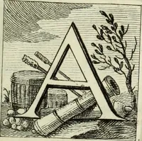 An illustration from Del conduttore elettrico posto nel campanile di S. Marco in Venezia : memoria, in cui occasionalmente si ragiona dei conduttori che possono applicarsi ai vascelli, ai magazzini da polvere, ed altri edifizj (1776)