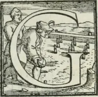 An illustration from De le lettere di m. Clavdio Tolomei lib. sette. Con vna breve dichiarazione in fine di tvtto l'ordin de l'ortografia di qvesta opera (1547)