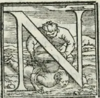 Picture 69 of 268 from De le lettere di m. Clavdio Tolomei lib. sette. Con vna breve dichiarazione in fine di tvtto l'ordin de l'ortografia di qvesta opera (1547), leaf 143