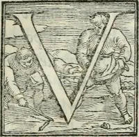 An illustration from De le lettere di m. Clavdio Tolomei lib. sette. Con vna breve dichiarazione in fine di tvtto l'ordin de l'ortografia di qvesta opera (1547)
