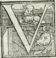 Picture 93 of 268 from De le lettere di m. Clavdio Tolomei lib. sette. Con vna breve dichiarazione in fine di tvtto l'ordin de l'ortografia di qvesta opera (1547), leaf 197