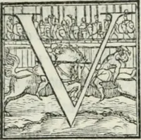 Picture 104 of 268 from De le lettere di m. Clavdio Tolomei lib. sette. Con vna breve dichiarazione in fine di tvtto l'ordin de l'ortografia di qvesta opera (1547), leaf 209