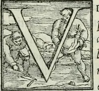 Picture 105 of 268 from De le lettere di m. Clavdio Tolomei lib. sette. Con vna breve dichiarazione in fine di tvtto l'ordin de l'ortografia di qvesta opera (1547), leaf 210