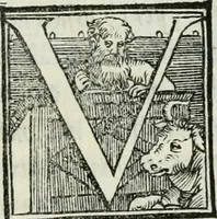 Picture 132 of 268 from De le lettere di m. Clavdio Tolomei lib. sette. Con vna breve dichiarazione in fine di tvtto l'ordin de l'ortografia di qvesta opera (1547), leaf 238