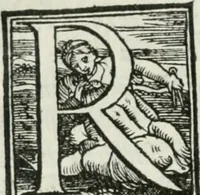 Picture 133 of 268 from De le lettere di m. Clavdio Tolomei lib. sette. Con vna breve dichiarazione in fine di tvtto l'ordin de l'ortografia di qvesta opera (1547), leaf 239