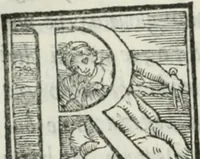 Picture 141 of 268 from De le lettere di m. Clavdio Tolomei lib. sette. Con vna breve dichiarazione in fine di tvtto l'ordin de l'ortografia di qvesta opera (1547), leaf 249