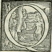 Picture 142 of 268 from De le lettere di m. Clavdio Tolomei lib. sette. Con vna breve dichiarazione in fine di tvtto l'ordin de l'ortografia di qvesta opera (1547), leaf 250