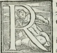 Picture 148 of 268 from De le lettere di m. Clavdio Tolomei lib. sette. Con vna breve dichiarazione in fine di tvtto l'ordin de l'ortografia di qvesta opera (1547), leaf 285