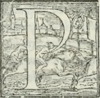 Picture 153 of 268 from De le lettere di m. Clavdio Tolomei lib. sette. Con vna breve dichiarazione in fine di tvtto l'ordin de l'ortografia di qvesta opera (1547), leaf 301