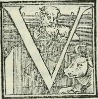 Picture 154 of 268 from De le lettere di m. Clavdio Tolomei lib. sette. Con vna breve dichiarazione in fine di tvtto l'ordin de l'ortografia di qvesta opera (1547), leaf 302