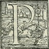 Picture 161 of 268 from De le lettere di m. Clavdio Tolomei lib. sette. Con vna breve dichiarazione in fine di tvtto l'ordin de l'ortografia di qvesta opera (1547), leaf 318