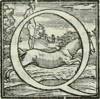 An illustration from De le lettere di m. Clavdio Tolomei lib. sette. Con vna breve dichiarazione in fine di tvtto l'ordin de l'ortografia di qvesta opera (1547)