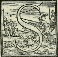 Picture 172 of 268 from De le lettere di m. Clavdio Tolomei lib. sette. Con vna breve dichiarazione in fine di tvtto l'ordin de l'ortografia di qvesta opera (1547), leaf 346