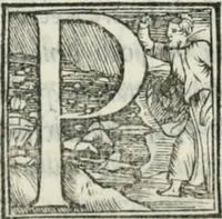 Picture 173 of 268 from De le lettere di m. Clavdio Tolomei lib. sette. Con vna breve dichiarazione in fine di tvtto l'ordin de l'ortografia di qvesta opera (1547), leaf 349