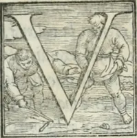 Picture 16 of 268 from De le lettere di m. Clavdio Tolomei lib. sette. Con vna breve dichiarazione in fine di tvtto l'ordin de l'ortografia di qvesta opera (1547), leaf 35