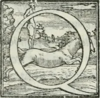 Picture 174 of 268 from De le lettere di m. Clavdio Tolomei lib. sette. Con vna breve dichiarazione in fine di tvtto l'ordin de l'ortografia di qvesta opera (1547), leaf 353