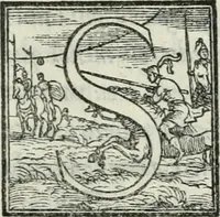 Picture 175 of 268 from De le lettere di m. Clavdio Tolomei lib. sette. Con vna breve dichiarazione in fine di tvtto l'ordin de l'ortografia di qvesta opera (1547), leaf 354