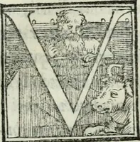 Picture 182 of 268 from De le lettere di m. Clavdio Tolomei lib. sette. Con vna breve dichiarazione in fine di tvtto l'ordin de l'ortografia di qvesta opera (1547), leaf 366