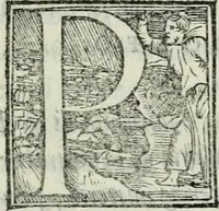 Picture 185 of 268 from De le lettere di m. Clavdio Tolomei lib. sette. Con vna breve dichiarazione in fine di tvtto l'ordin de l'ortografia di qvesta opera (1547), leaf 368