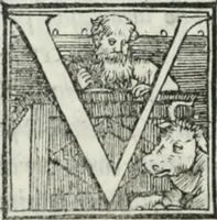 Picture 189 of 268 from De le lettere di m. Clavdio Tolomei lib. sette. Con vna breve dichiarazione in fine di tvtto l'ordin de l'ortografia di qvesta opera (1547), leaf 371