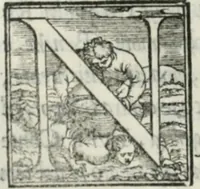 Picture 191 of 268 from De le lettere di m. Clavdio Tolomei lib. sette. Con vna breve dichiarazione in fine di tvtto l'ordin de l'ortografia di qvesta opera (1547), leaf 373
