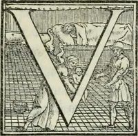 Picture 193 of 268 from De le lettere di m. Clavdio Tolomei lib. sette. Con vna breve dichiarazione in fine di tvtto l'ordin de l'ortografia di qvesta opera (1547), leaf 376