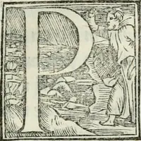 Picture 204 of 268 from De le lettere di m. Clavdio Tolomei lib. sette. Con vna breve dichiarazione in fine di tvtto l'ordin de l'ortografia di qvesta opera (1547), leaf 394