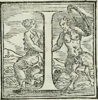Picture 206 of 268 from De le lettere di m. Clavdio Tolomei lib. sette. Con vna breve dichiarazione in fine di tvtto l'ordin de l'ortografia di qvesta opera (1547), leaf 398