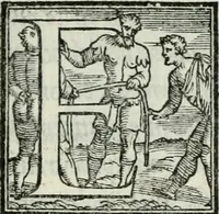 Picture 209 of 268 from De le lettere di m. Clavdio Tolomei lib. sette. Con vna breve dichiarazione in fine di tvtto l'ordin de l'ortografia di qvesta opera (1547), leaf 404
