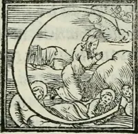 Picture 213 of 268 from De le lettere di m. Clavdio Tolomei lib. sette. Con vna breve dichiarazione in fine di tvtto l'ordin de l'ortografia di qvesta opera (1547), leaf 408