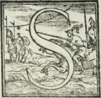 Picture 218 of 268 from De le lettere di m. Clavdio Tolomei lib. sette. Con vna breve dichiarazione in fine di tvtto l'ordin de l'ortografia di qvesta opera (1547), leaf 411
