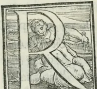 Picture 220 of 268 from De le lettere di m. Clavdio Tolomei lib. sette. Con vna breve dichiarazione in fine di tvtto l'ordin de l'ortografia di qvesta opera (1547), leaf 413