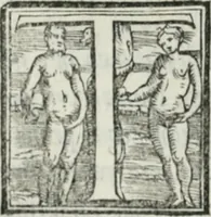 Picture 223 of 268 from De le lettere di m. Clavdio Tolomei lib. sette. Con vna breve dichiarazione in fine di tvtto l'ordin de l'ortografia di qvesta opera (1547), leaf 415