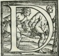 Picture 224 of 268 from De le lettere di m. Clavdio Tolomei lib. sette. Con vna breve dichiarazione in fine di tvtto l'ordin de l'ortografia di qvesta opera (1547), leaf 419