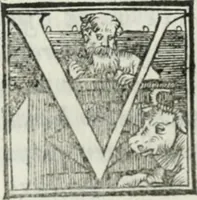 Picture 232 of 268 from De le lettere di m. Clavdio Tolomei lib. sette. Con vna breve dichiarazione in fine di tvtto l'ordin de l'ortografia di qvesta opera (1547), leaf 425