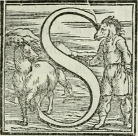 Picture 233 of 268 from De le lettere di m. Clavdio Tolomei lib. sette. Con vna breve dichiarazione in fine di tvtto l'ordin de l'ortografia di qvesta opera (1547), leaf 426