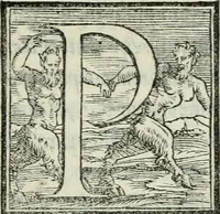 Picture 243 of 268 from De le lettere di m. Clavdio Tolomei lib. sette. Con vna breve dichiarazione in fine di tvtto l'ordin de l'ortografia di qvesta opera (1547), leaf 438