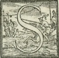 Picture 244 of 268 from De le lettere di m. Clavdio Tolomei lib. sette. Con vna breve dichiarazione in fine di tvtto l'ordin de l'ortografia di qvesta opera (1547), leaf 439