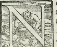 Picture 250 of 268 from De le lettere di m. Clavdio Tolomei lib. sette. Con vna breve dichiarazione in fine di tvtto l'ordin de l'ortografia di qvesta opera (1547), leaf 443